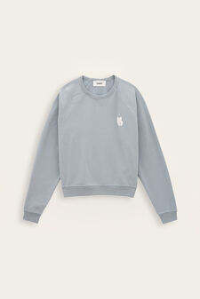 BLEUGLACIER