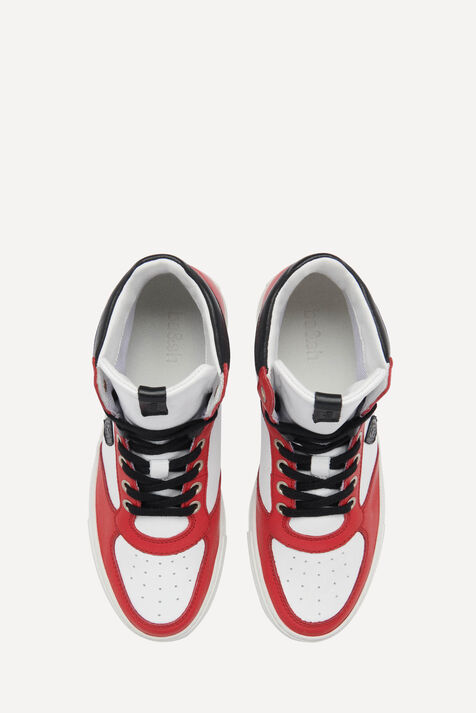 TRAINERS CRUSH