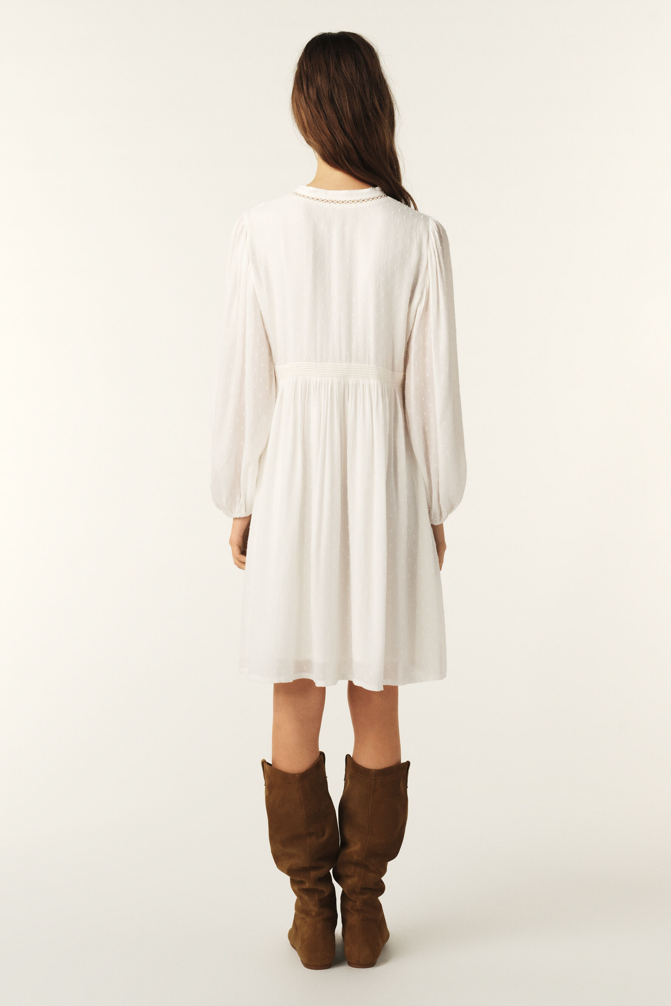 DRESS PETUNIA