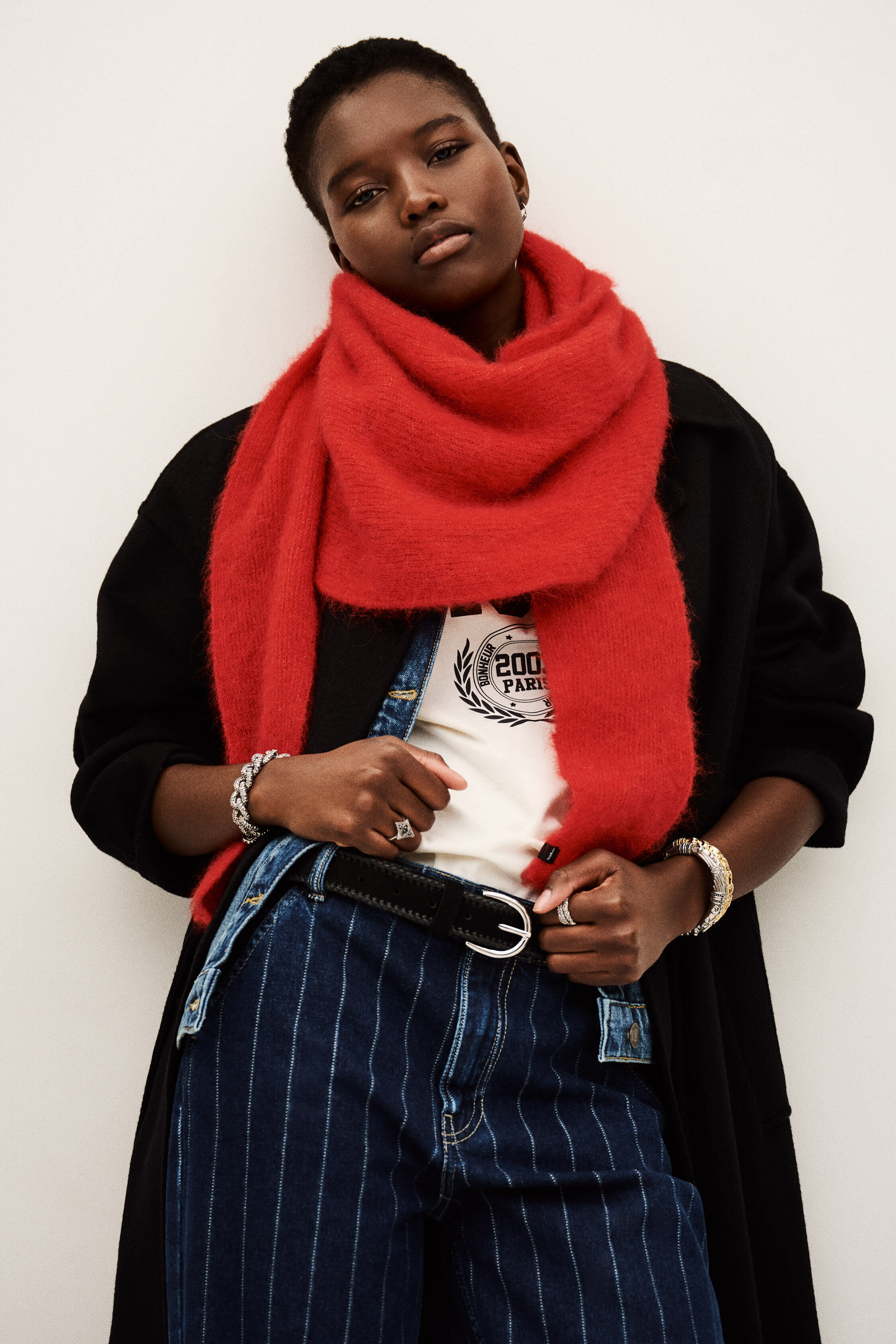 scarf SWANN