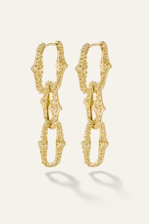 earrings DANY